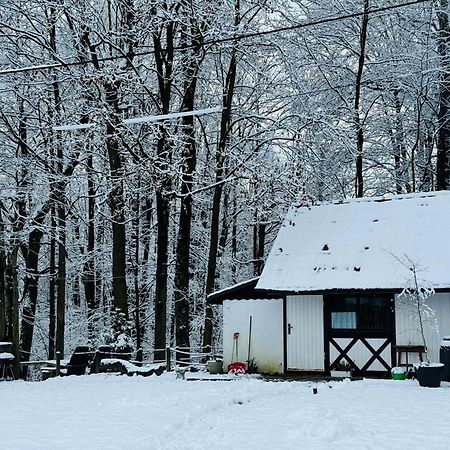 Romantyczna Chatka Pisarzowice  Kültér fotó