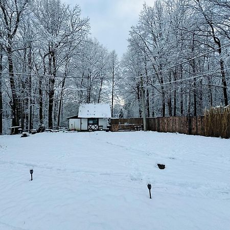 Romantyczna Chatka Pisarzowice  Kültér fotó