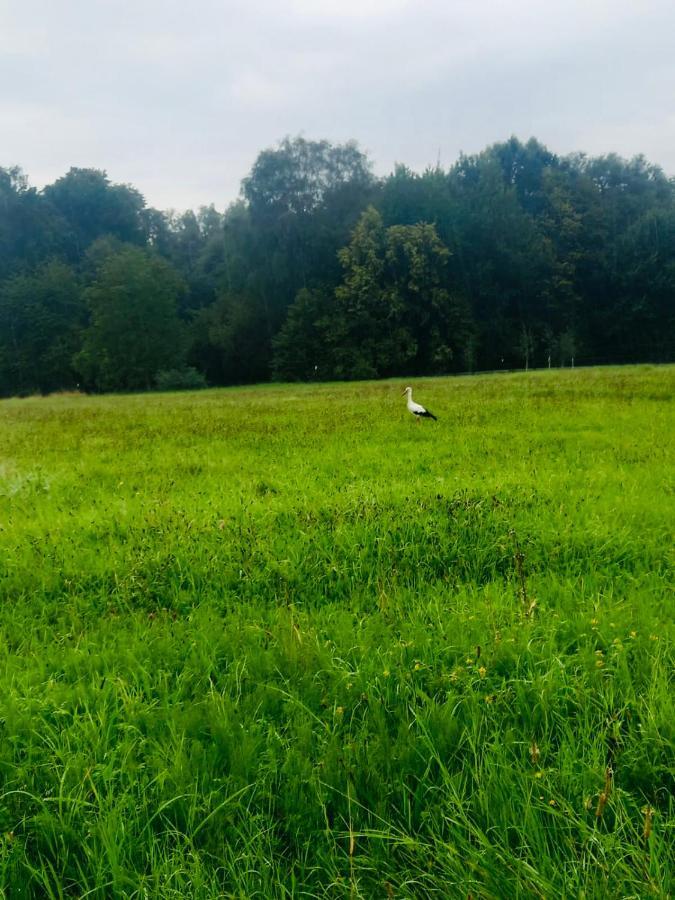 Romantyczna Chatka Pisarzowice  Kültér fotó