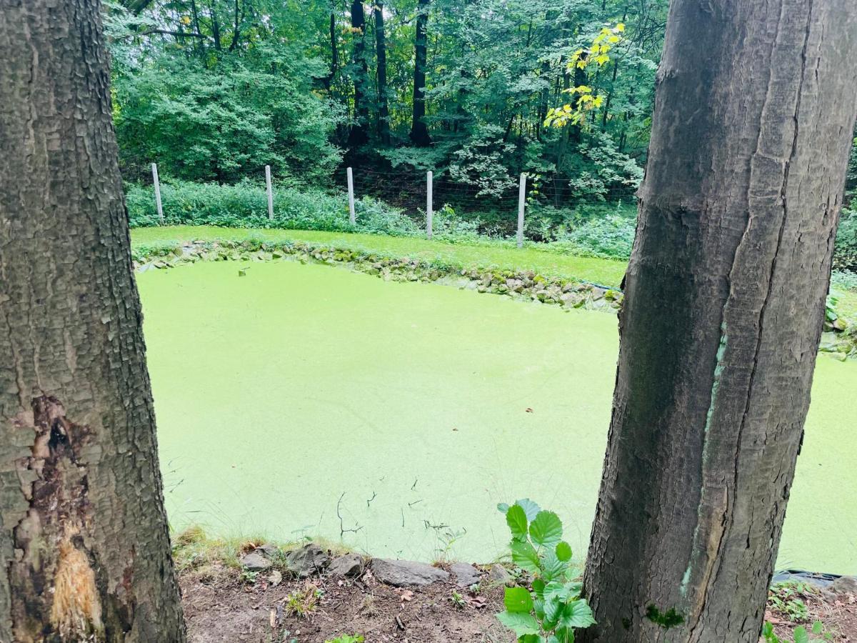 Romantyczna Chatka Pisarzowice  Kültér fotó