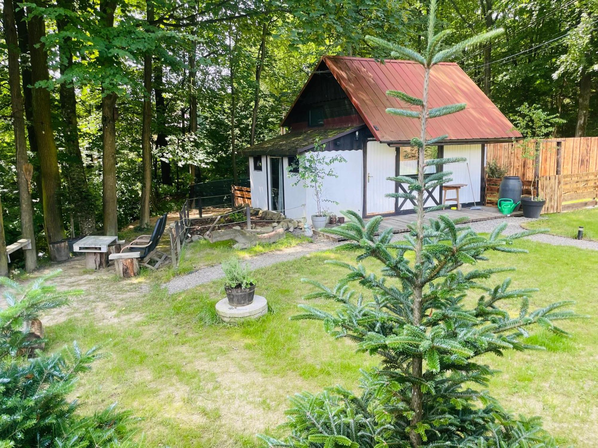 Romantyczna Chatka Pisarzowice  Kültér fotó