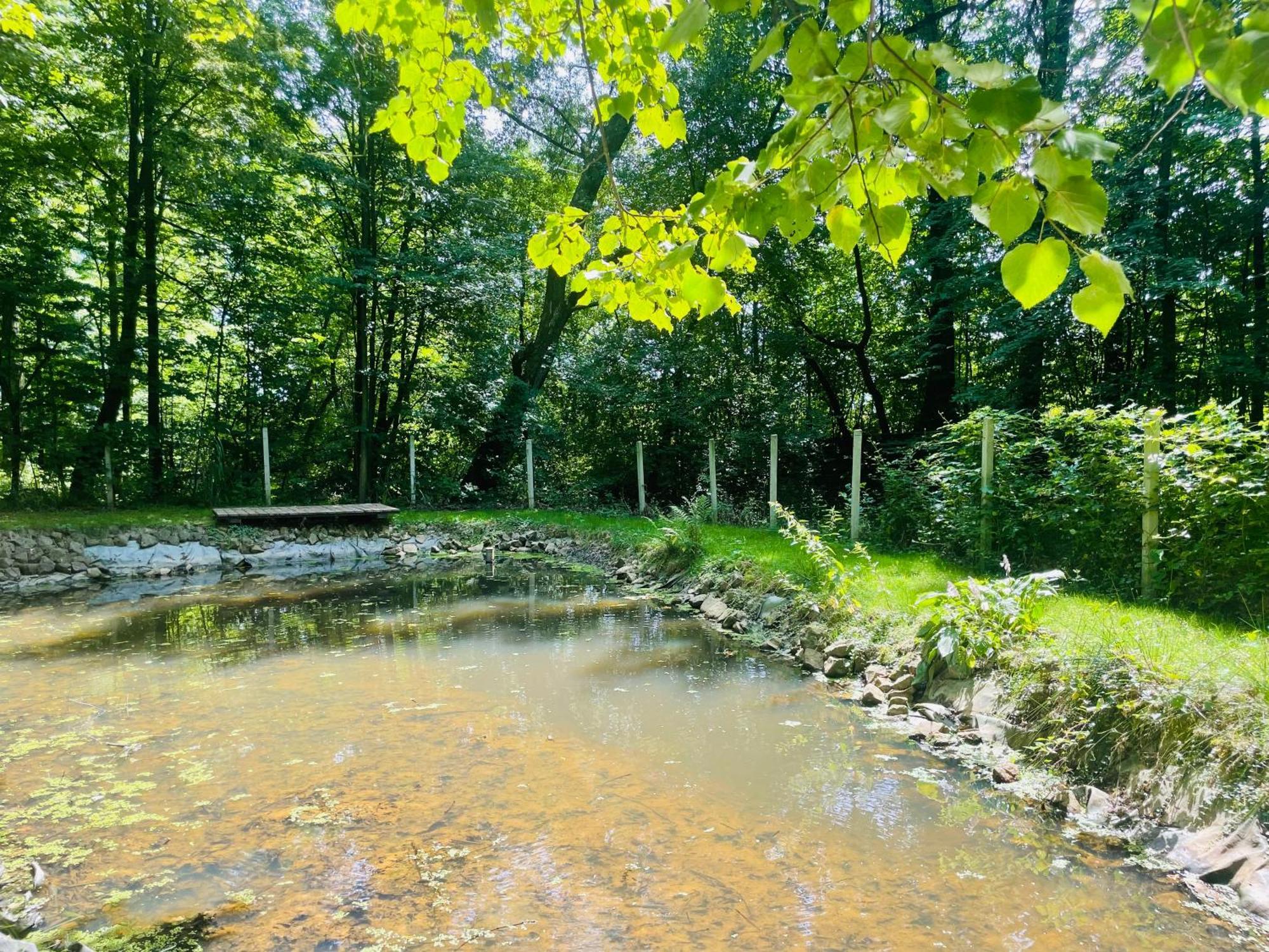 Romantyczna Chatka Pisarzowice  Kültér fotó