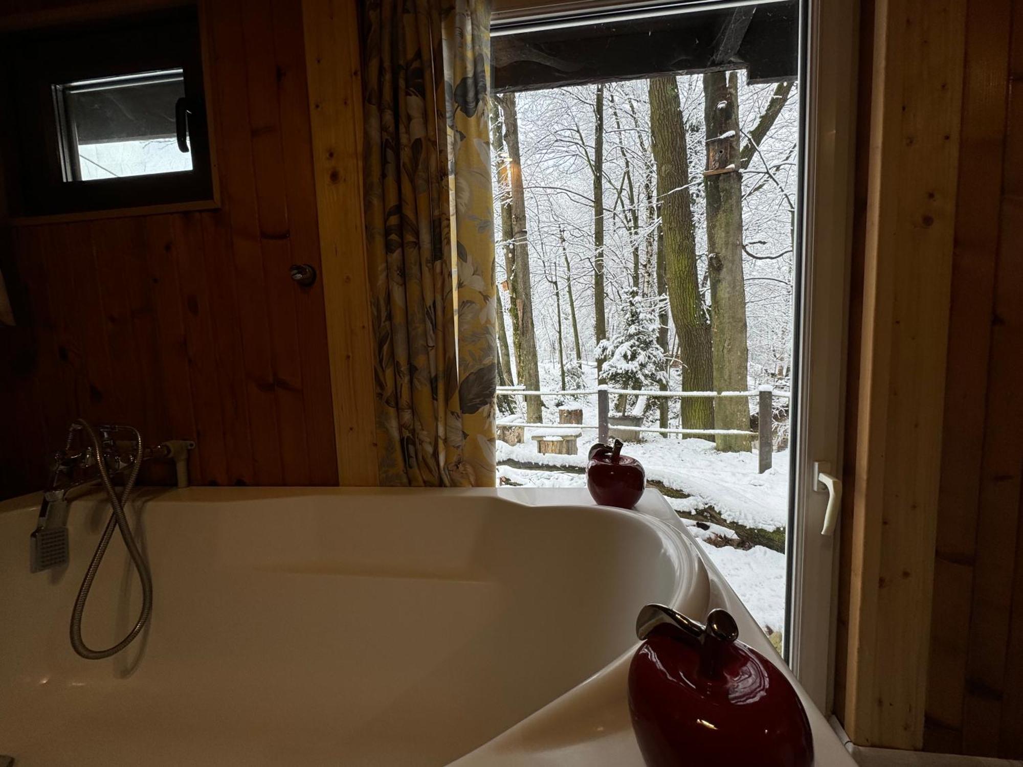 Romantyczna Chatka Pisarzowice  Kültér fotó