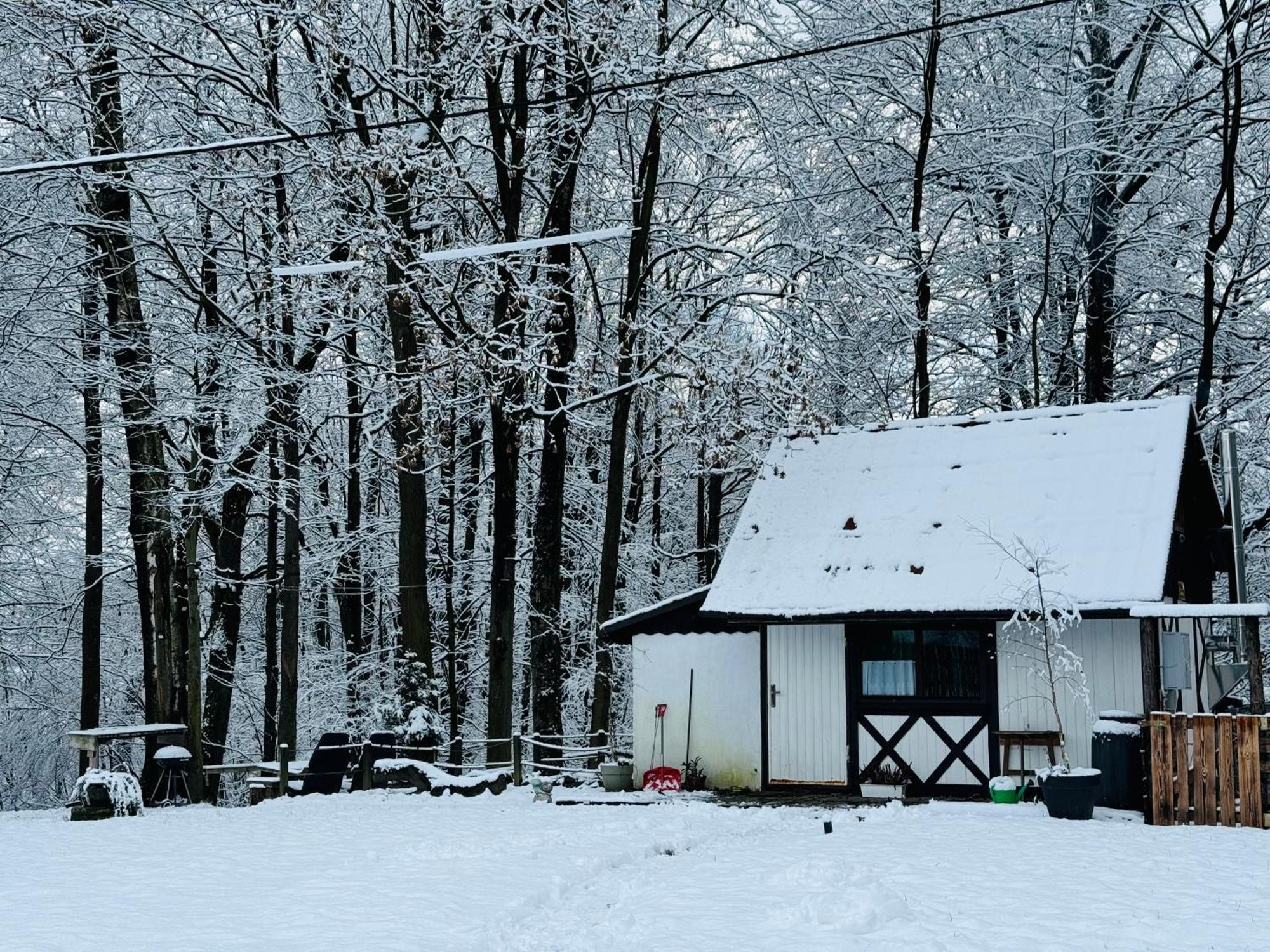 Romantyczna Chatka Pisarzowice  Kültér fotó