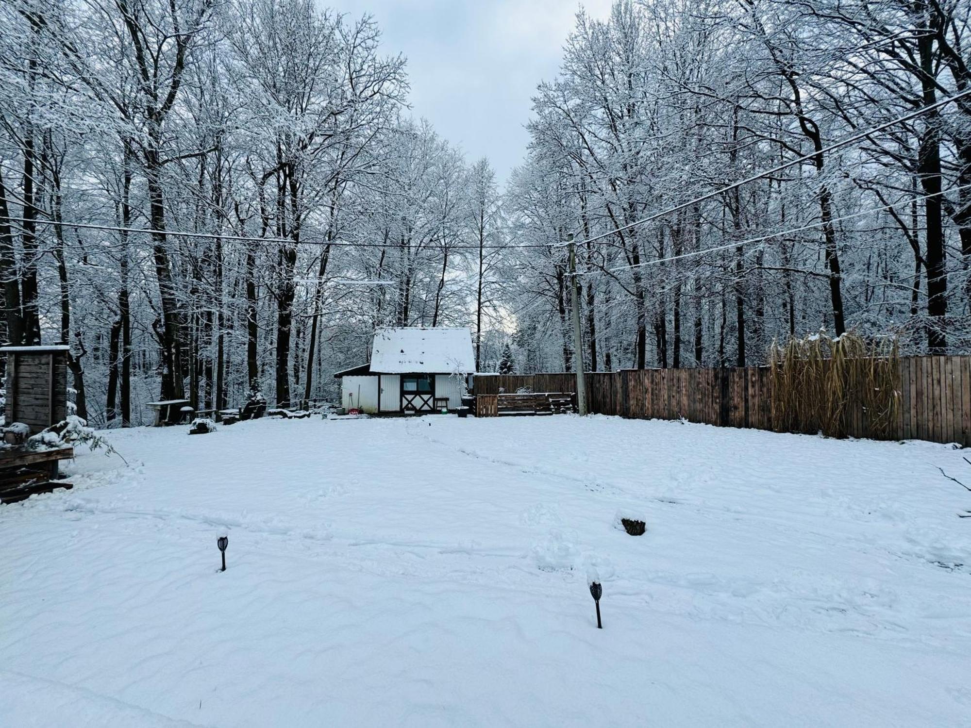 Romantyczna Chatka Pisarzowice  Kültér fotó
