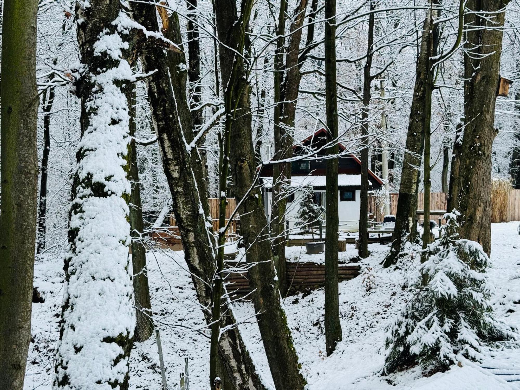 Romantyczna Chatka Pisarzowice  Kültér fotó